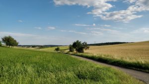 Landschaft1